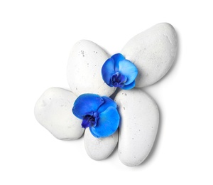 Spa stones with orchid flowers on white background, top view