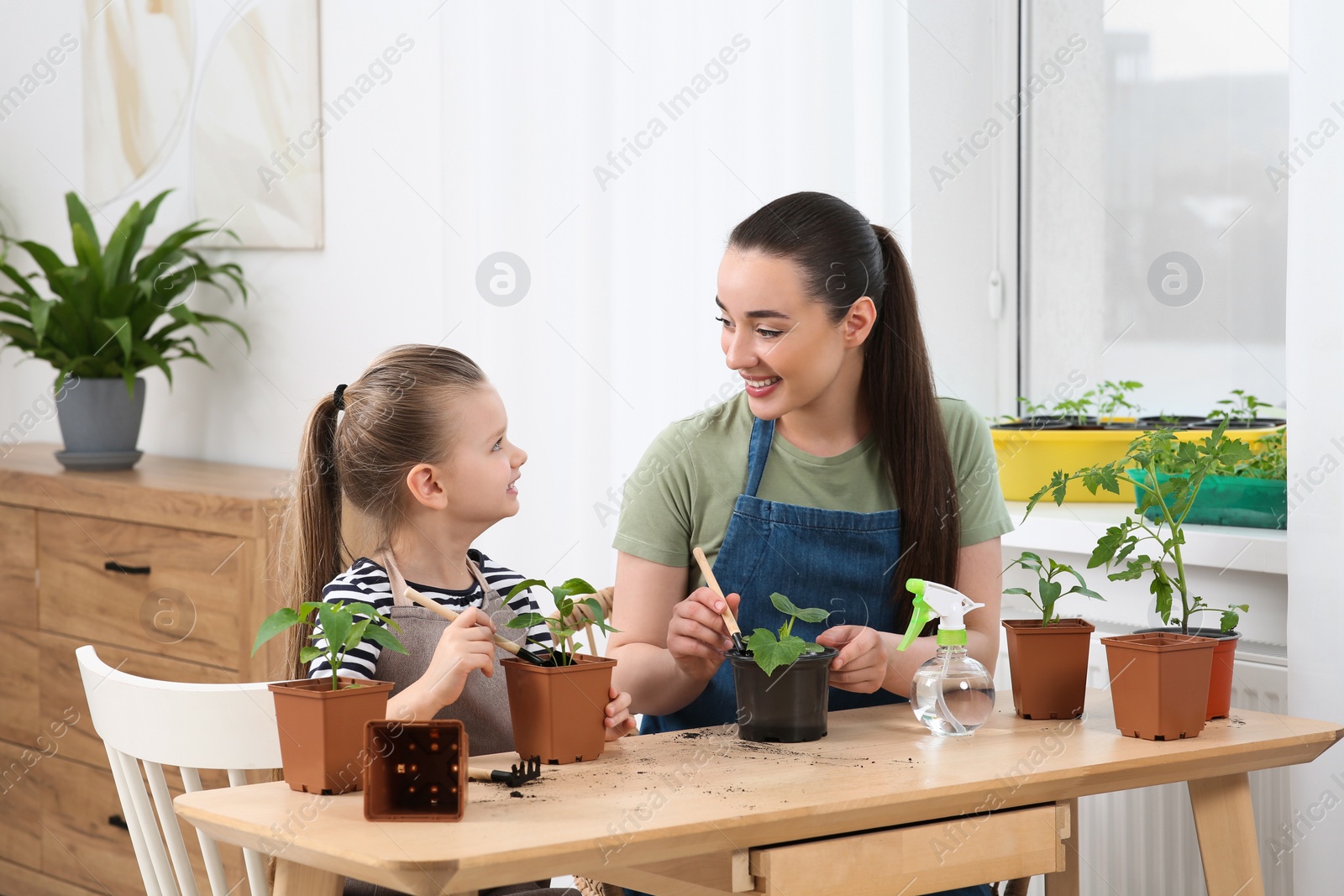 Photo of Mother and daughter planting seedlings into pots together at wooden table in room