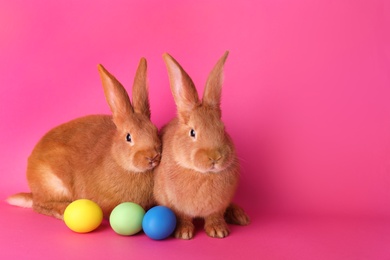 Photo of Cute bunnies and Easter eggs on pink background, space for text