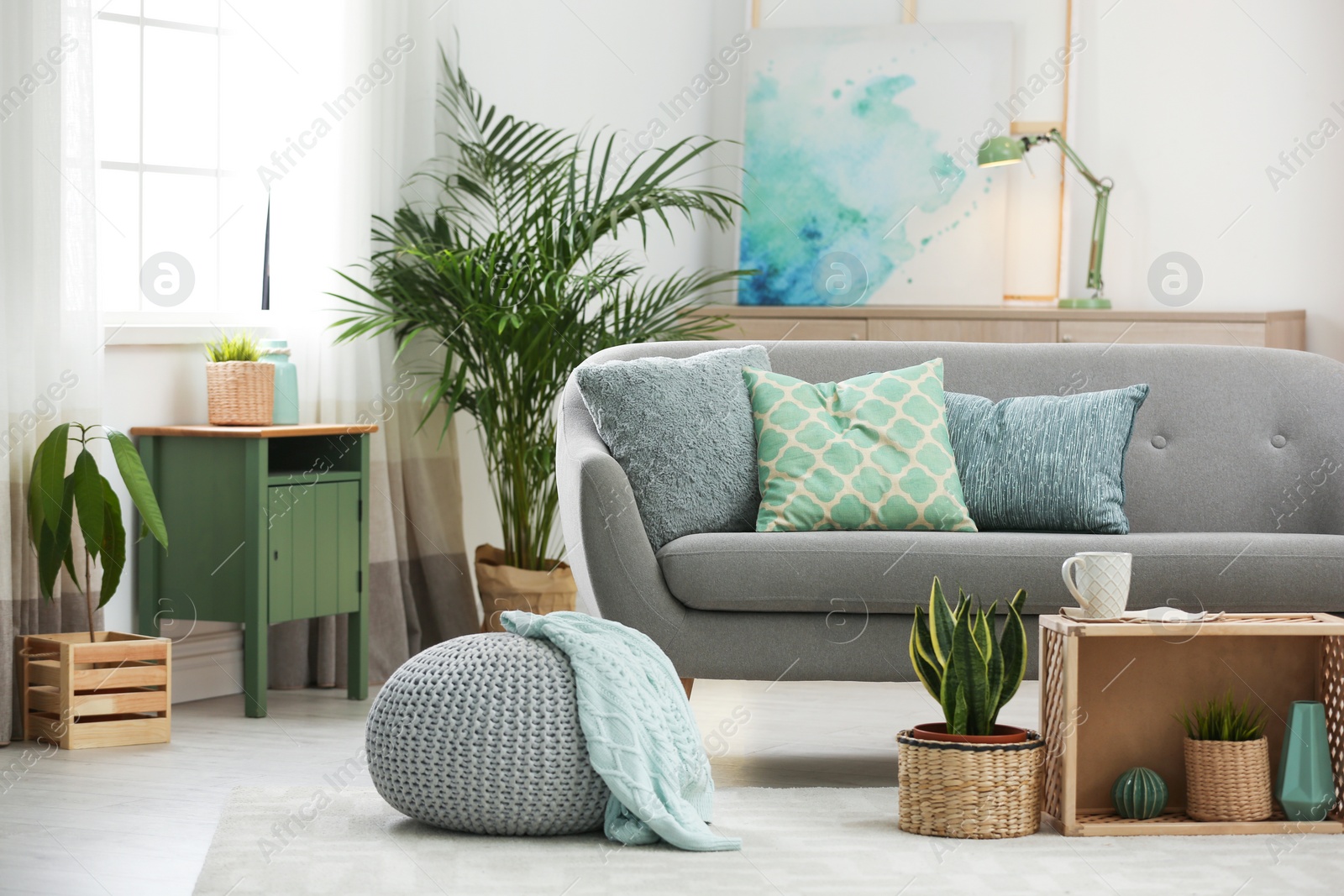 Photo of Living room interior with green houseplants and sofa