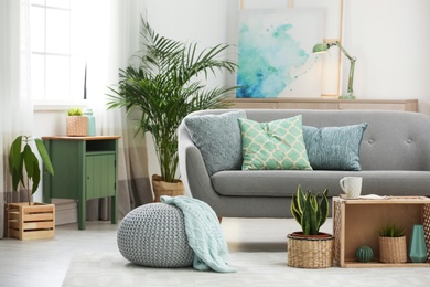 Photo of Living room interior with green houseplants and sofa