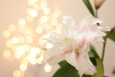 Photo of Beautiful lily flower against beige background with blurred lights, closeup. Space for text