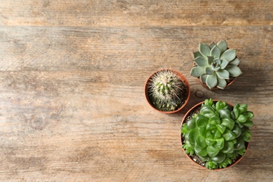 Flat lay composition with different succulent plants in pots on wooden table, space for text. Home decor