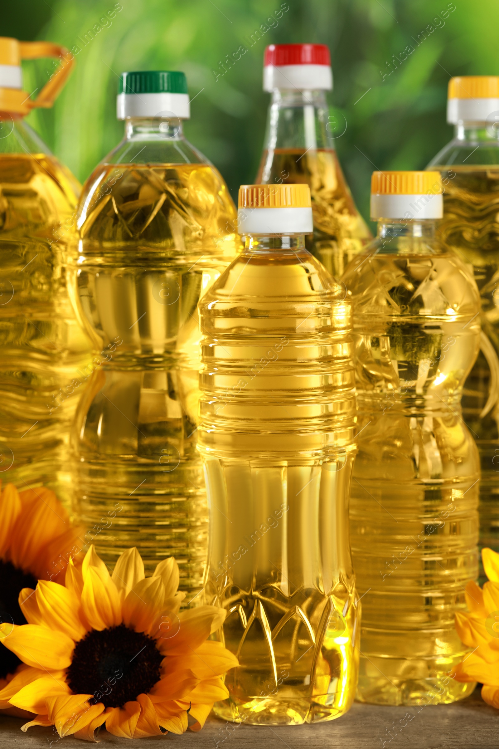 Photo of Bottles of cooking oil and sunflowers on wooden table