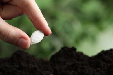 Photo of Woman putting pumpkin seed into fertile soil against blurred background, closeup with space for text. Vegetable planting