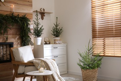 Photo of Beautiful room decorated for Christmas with potted firs. Interior design