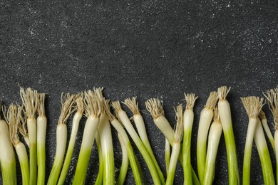 Photo of Fresh green onion on black table, flat lay. Space for text