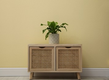 Photo of Beautiful fresh potted fern on wooden cabinet near beige  wall