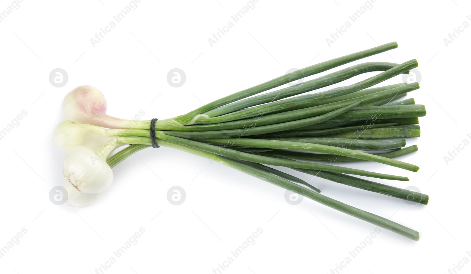 Photo of Fresh green onion on white background