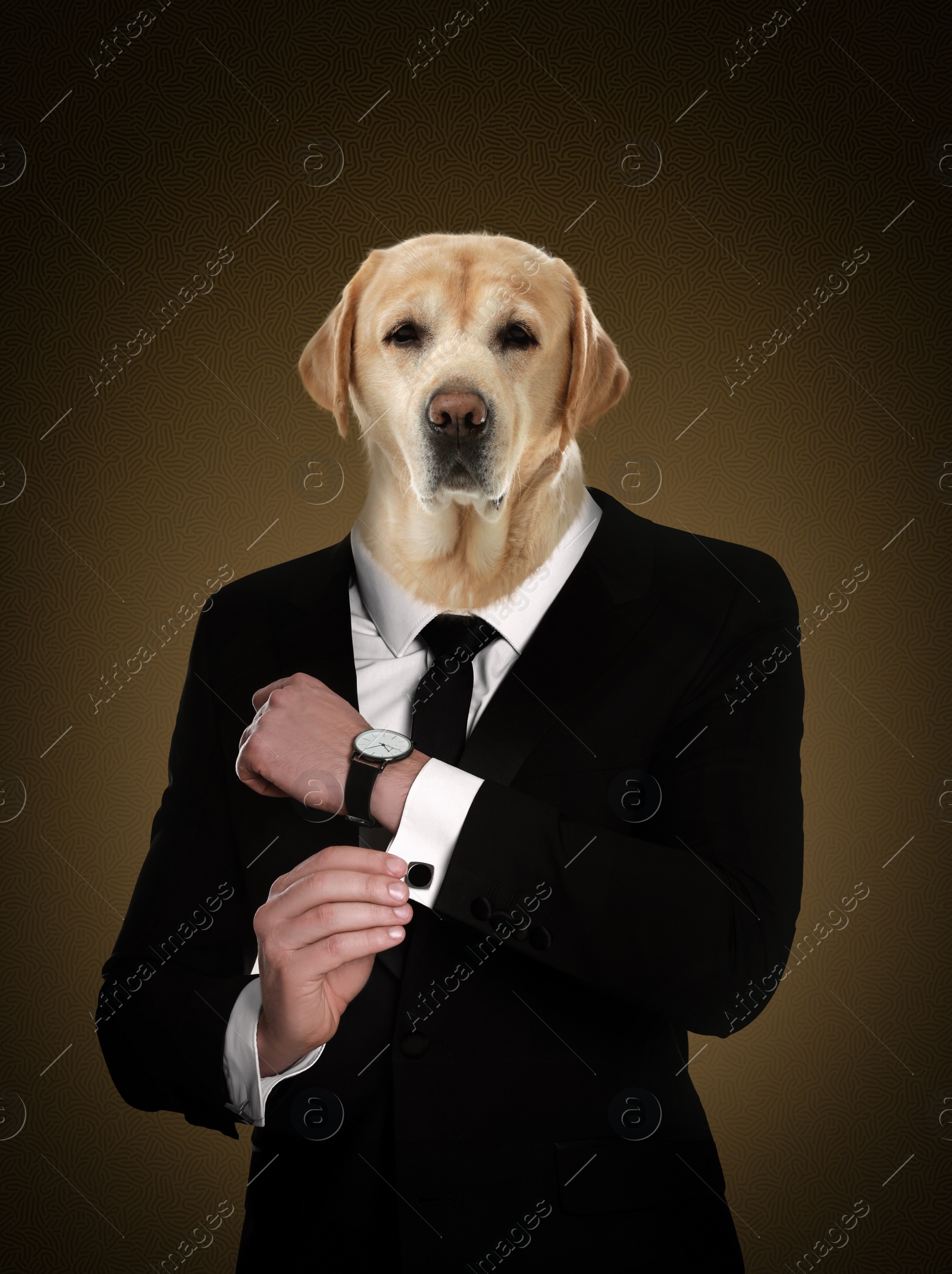 Image of Portrait of businessman with dog face on dark background