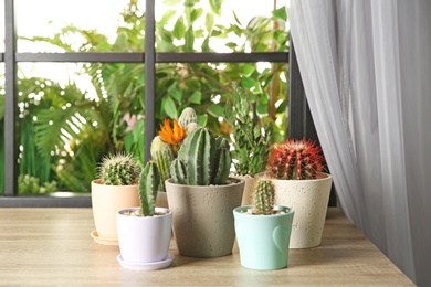 Photo of Beautiful cacti on wooden window sill indoors