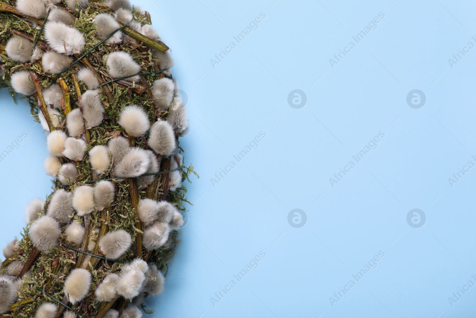 Photo of Wreath made of beautiful willow flowers on light blue background, top view. Space for text