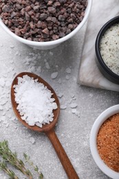 Photo of Different kinds of salt on grey table, flat lay