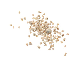 Photo of Pile of raw tomato seeds on white background, top view. Vegetable planting