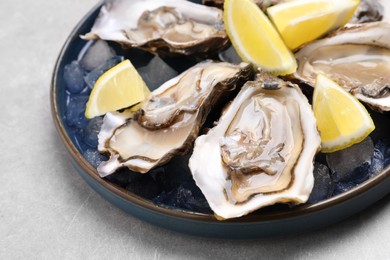 Delicious fresh oysters with lemon slices on light grey table, closeup