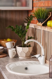 Stylish sink and faucet in modern kitchen. Idea for home design