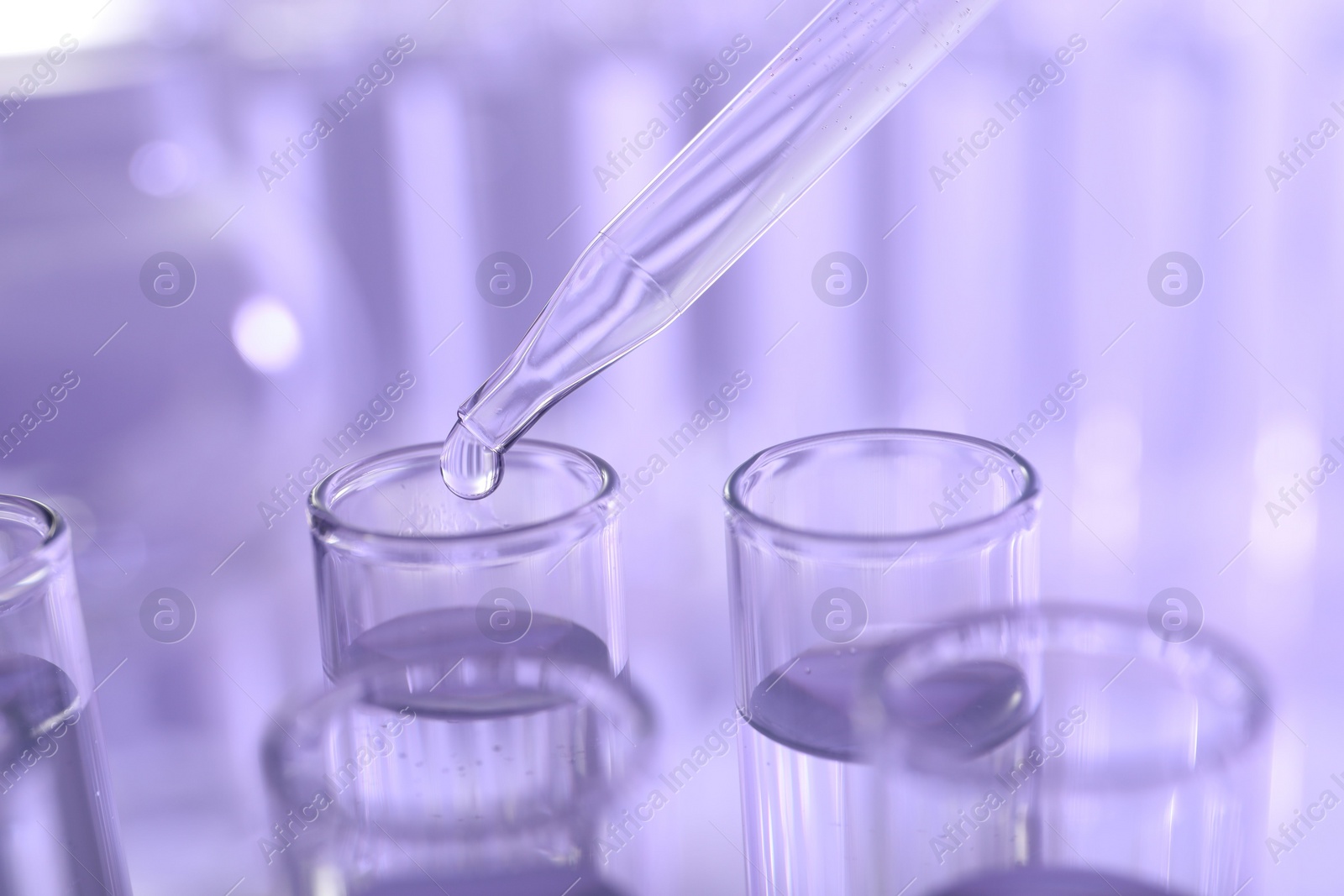 Photo of Dripping liquid from pipette into test tube on violet background, closeup