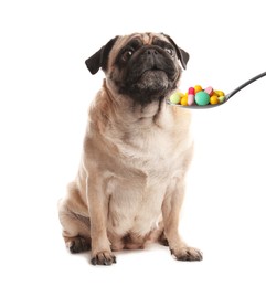 Image of Cute pug dog and spoon full of different pills on white background. Vitamins for animal 