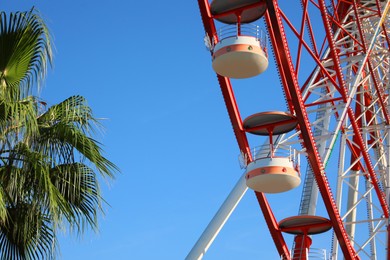 Photo of Beautiful large Ferris wheel near palm tree against blue sky, low angle view