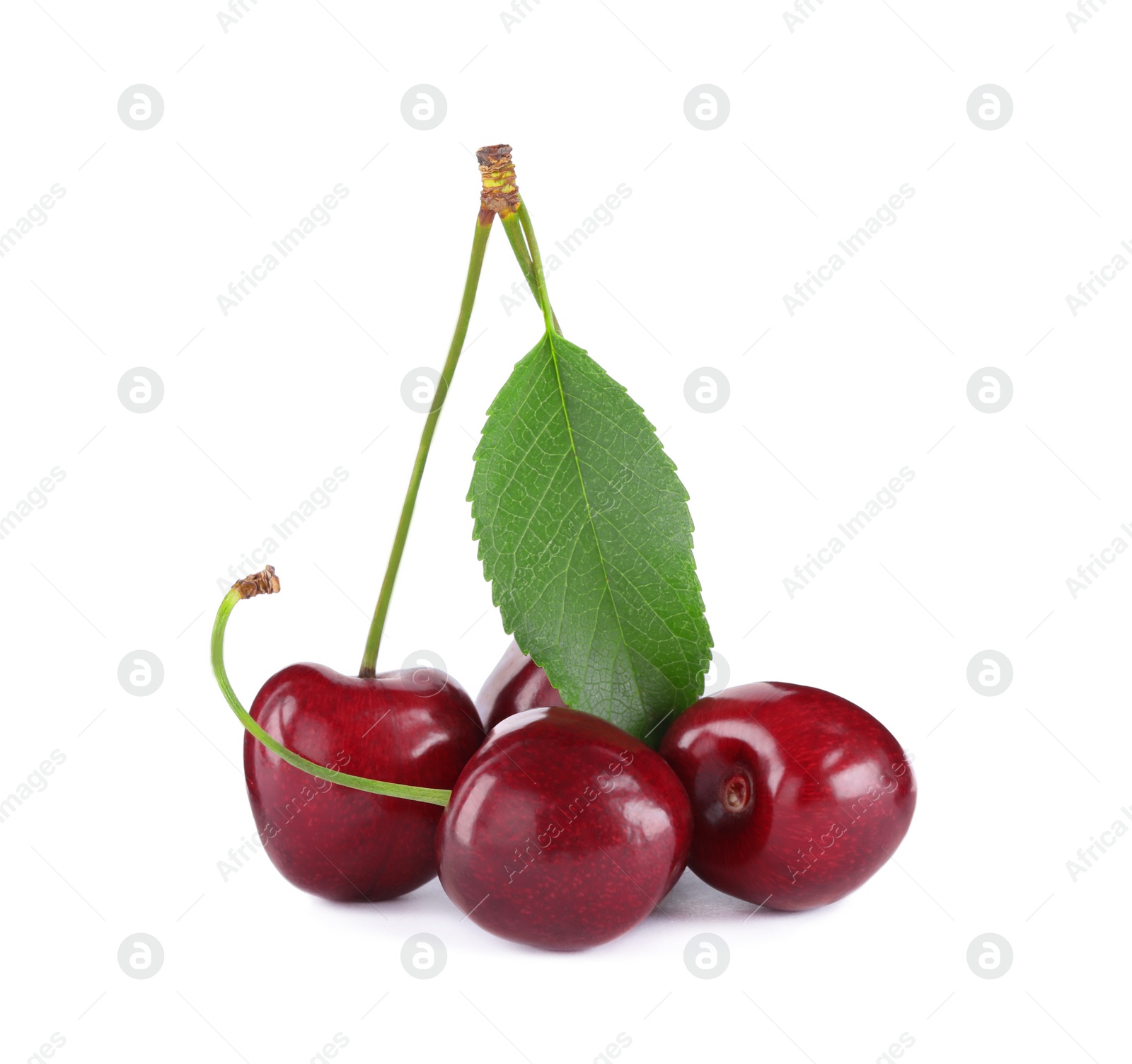 Photo of Fresh ripe sweet cherries with leaf isolated on white