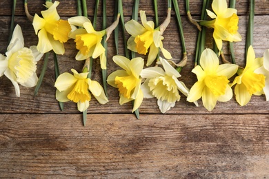 Photo of Flat lay composition with daffodils and space for text on wooden background. Fresh spring flowers