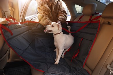 Photo of Woman fastening her cute Jack Russel Terrier dog with safety belt in bag carrier inside car. Pet accessory