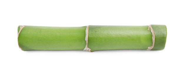 Photo of Piece of beautiful green bamboo stem on white background