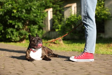 Photo of Woman walking with cute French Bulldog outdoors, closeup