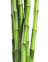 Photo of Beautiful green bamboo stems on white background