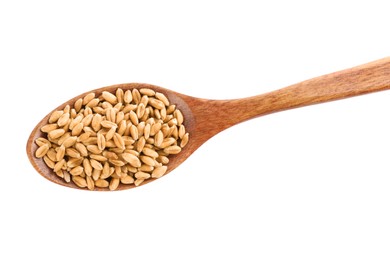Photo of Wooden spoon with wheat grains isolated on white