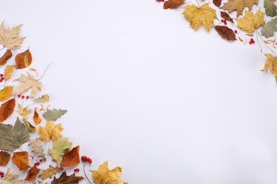 Photo of Dry autumn leaves and berries on white background, flat lay. Space for text