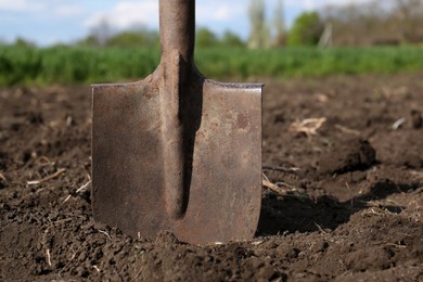 Photo of Metal shovel in soil outdoors. Gardening tool