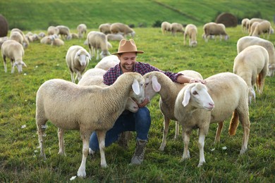 Photo of Smiling man feeding sheep on pasture at farm