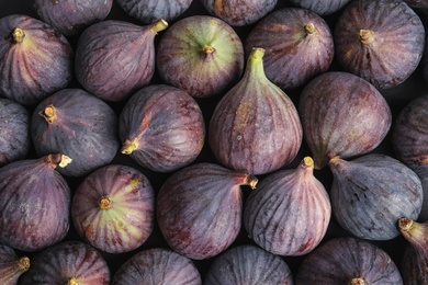 Photo of Many whole fresh purple figs as background, top view