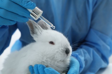 Scientist with rabbit and cosmetic product in chemical laboratory, closeup. Animal testing