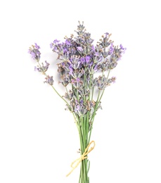 Photo of Beautiful blooming lavender flowers on white background