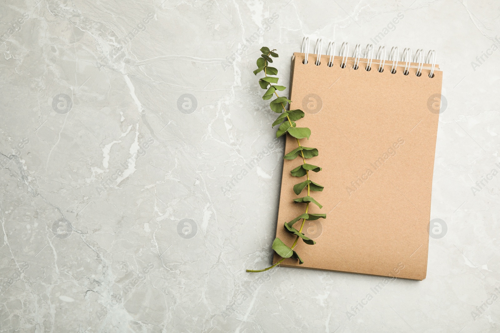 Photo of Stylish notebook and eucalyptus on marble table, top view. Space for text