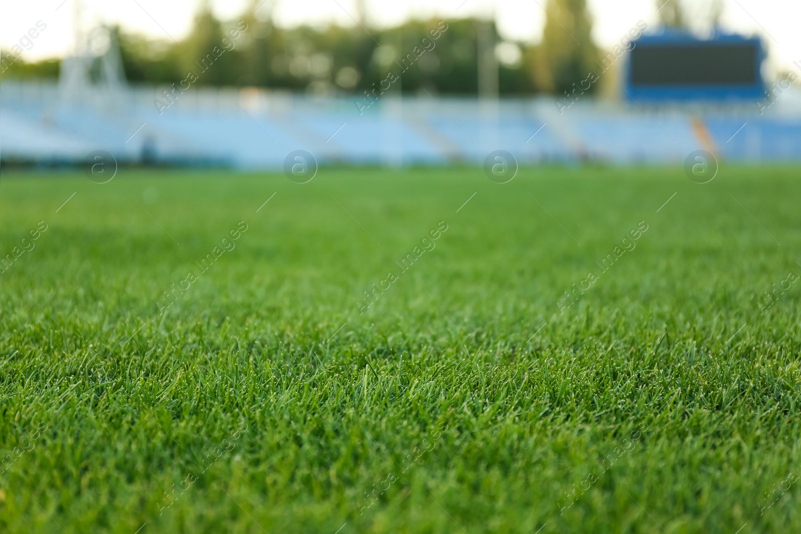 Photo of Green lawn with fresh green grass at stadium