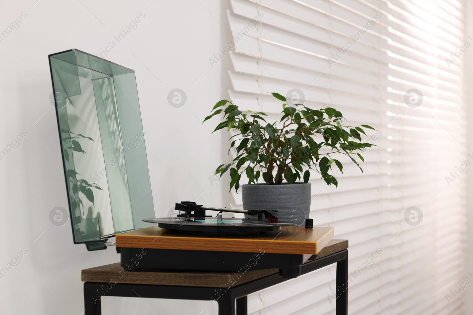 Photo of Record player and houseplant on wooden table at home