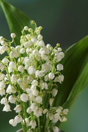 Photo of Beautiful lily of the valley flowers on blurred green background, closeup