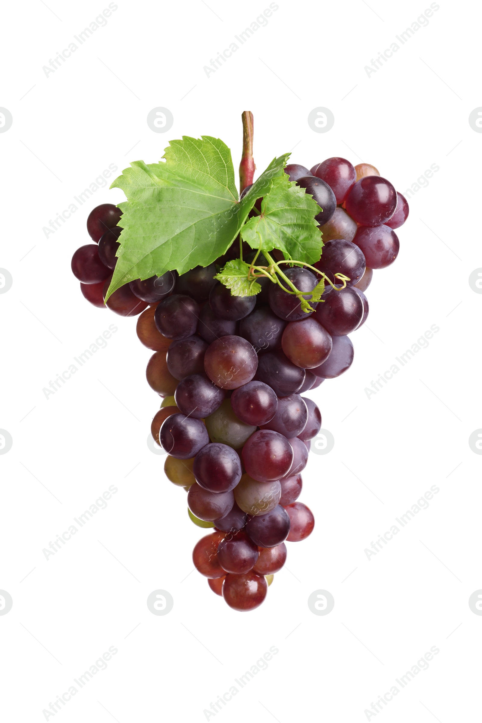 Photo of Bunch of fresh ripe juicy grapes isolated on white