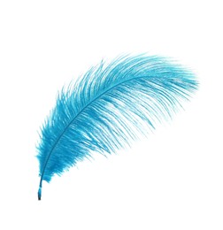 Photo of Beautiful delicate light blue feather isolated on white