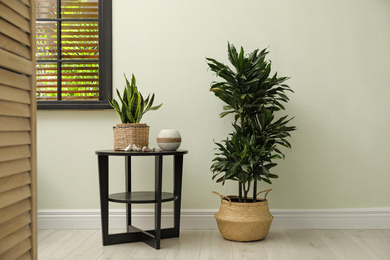 Photo of Houseplants in wicker pots near white wall. Interior design