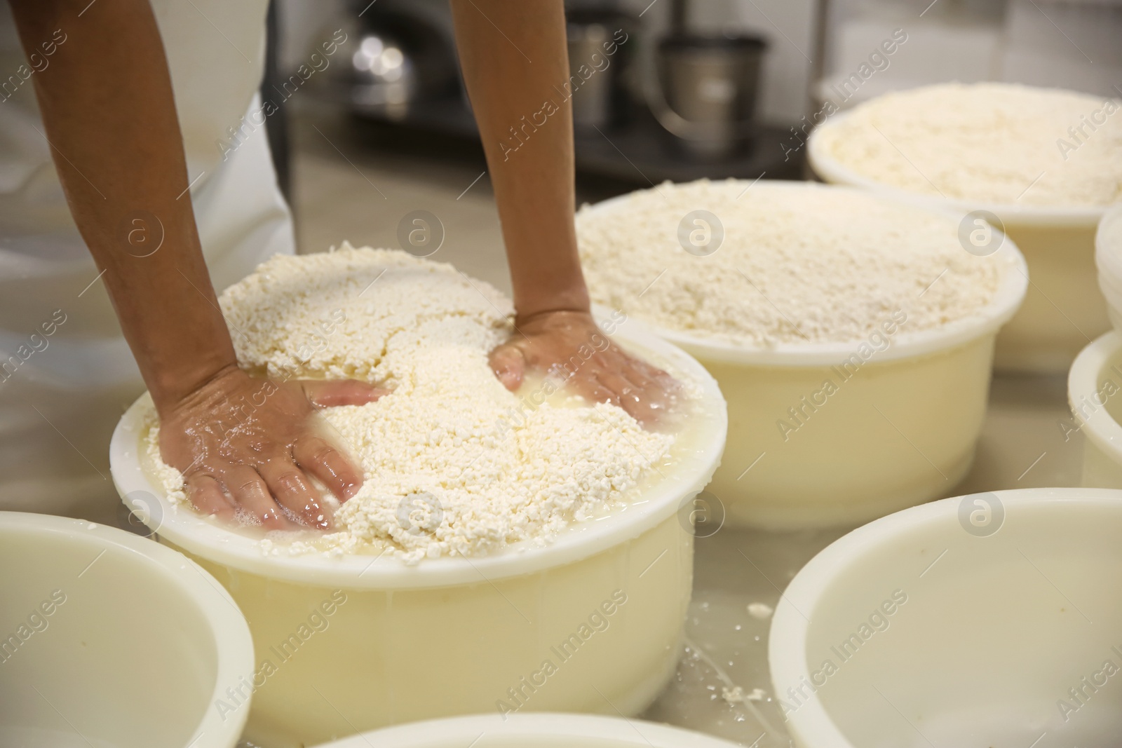 Photo of Worker pressing curd into mould at cheese factory, closeup