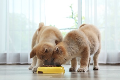 Photo of Adorable Akita Inu puppies eating food from bowl at home