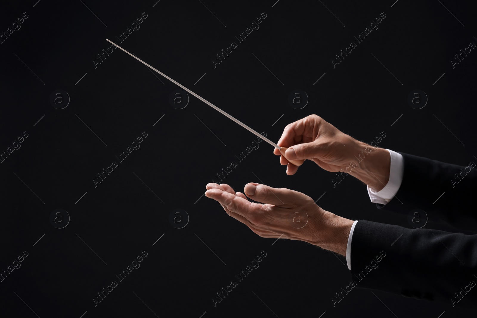 Photo of Professional conductor with baton on black background, closeup