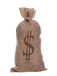 Image of Burlap bag with dollar sign on white background