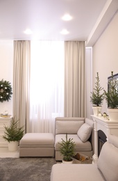 Photo of Stylish living room interior with little fir trees and Christmas decorations