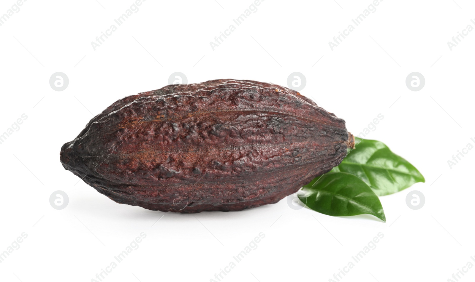 Photo of Cocoa pod and leaves on white background