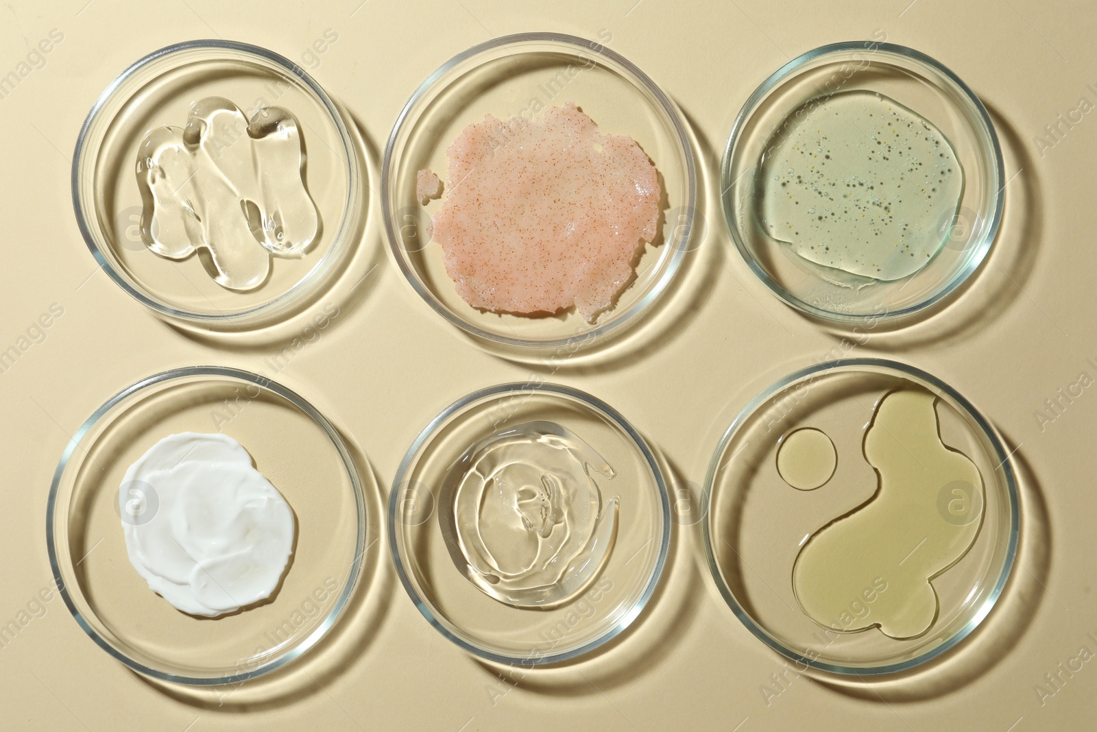 Photo of Many Petri dishes and cosmetic products on beige background, flat lay